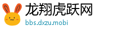 龙翔虎跃网